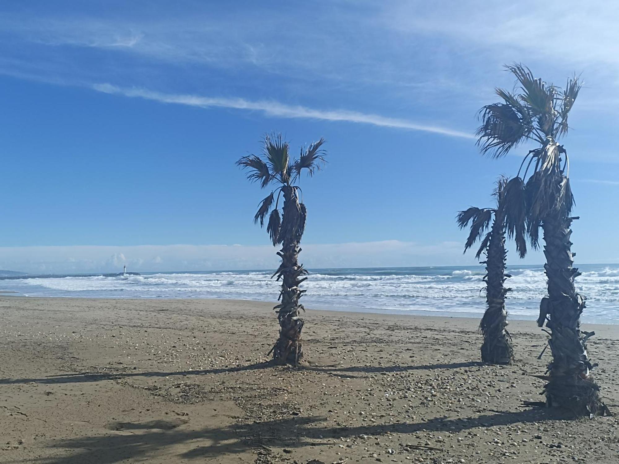 Cap d'Agde T2 avec piscine, tennis et parking. Buitenkant foto